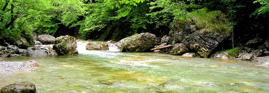 river Iška