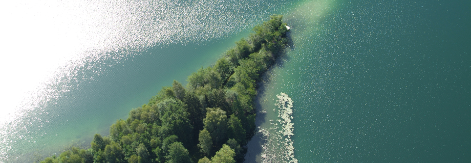 Längsee