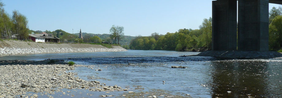 Drava 8