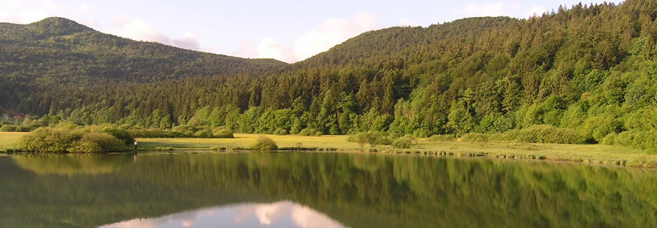 Krimsko(Podpeško) lake